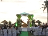 dsc_0799